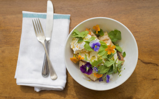 Poached Eggs & Avocado